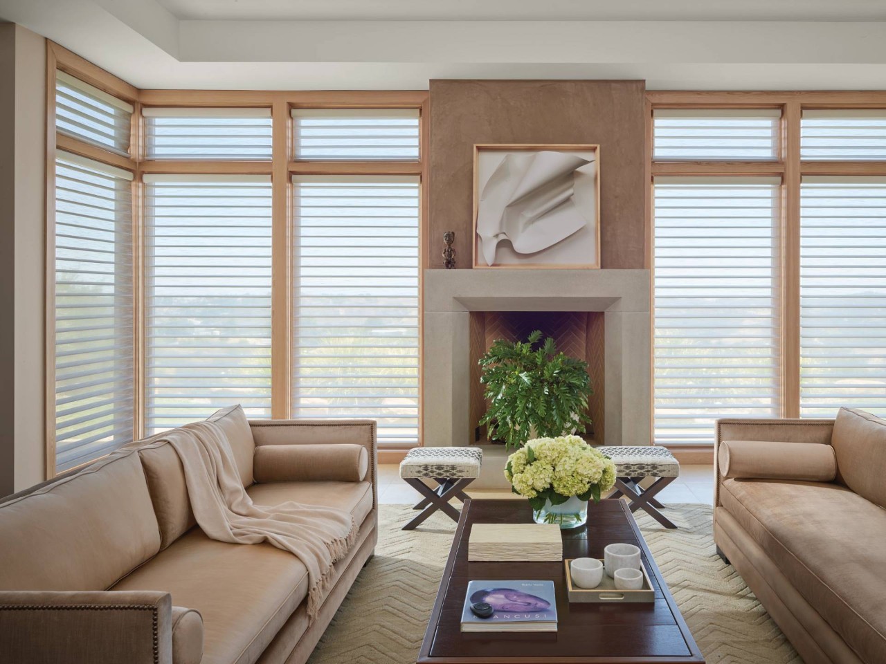Redecorating Your Living Room, Hunter Douglas PowerView® Automation, automation near Ocean City, Maryland (MD)